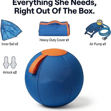 Ruckus Herding Ball, Herding Ball for Dogs, Extra-Large Enrichment Ball — Tear-Resistant, Includes Protective Cover and Air Pump, Available in Three Sizes to Suit All Dogs (color1, Medium)
