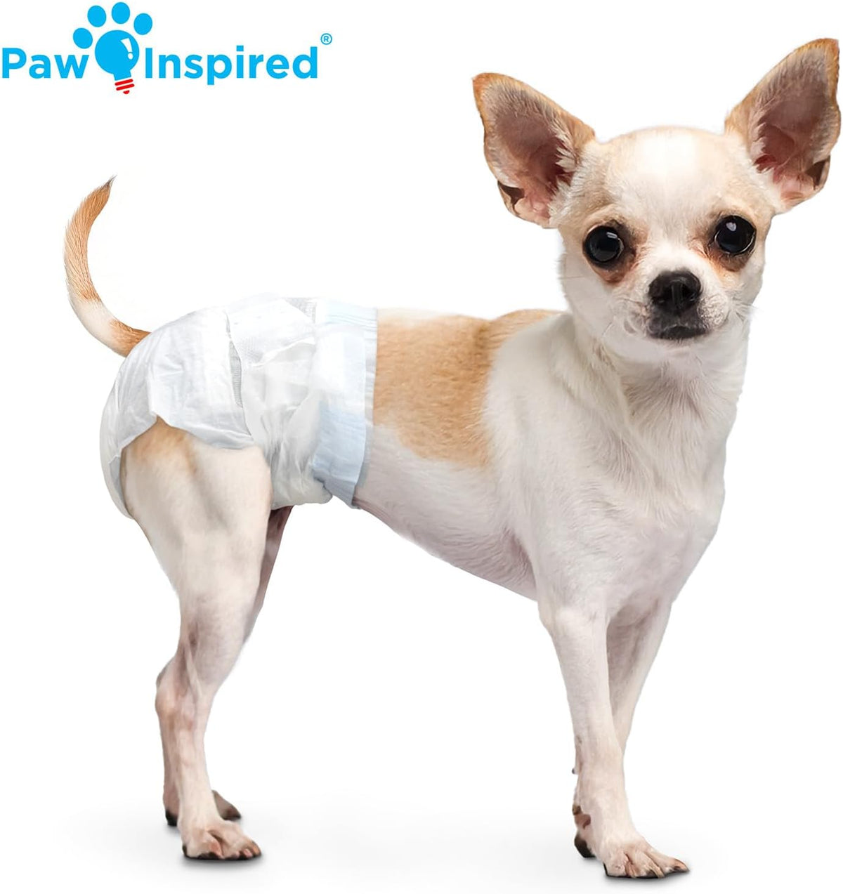 Disposable Dog Diapers, Female Dog Diapers Ultra Protection, Diapers for Dogs in Heat, Excitable - photo 4
