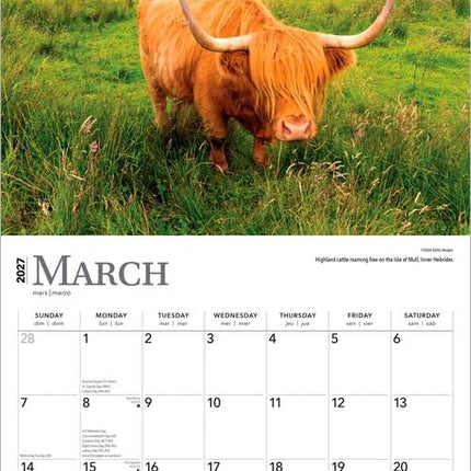 Scotland | 2027 12 x 24 Inch (Hanging) Monthly Square Wall Calendar | Plastic-Free | BrownTrout | UK United Kingdom Scenic