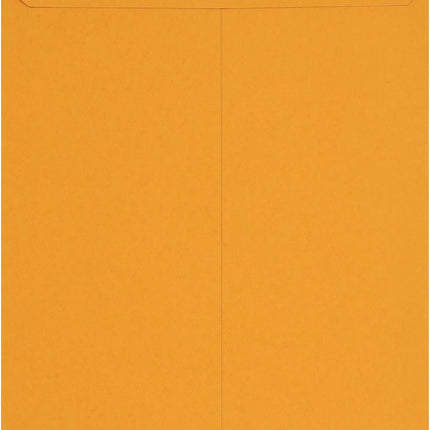Amazon Basics Clasp Kraft Envelopes for Documents, Gummed Mailing Envelope, 9" x 12", 100-Pack