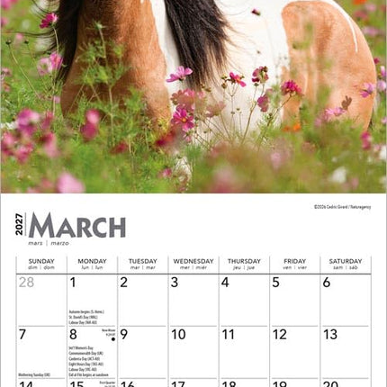 Horse Lovers | 2027 7 x 14 Inch (Hanging) Monthly Mini Wall Calendar | BrownTrout | Animals Equestrian