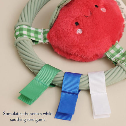 Itzy Ritzy Teething Ring (Tomato)