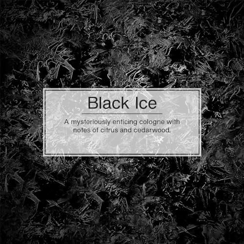 Hanging Tree Car Air Fresheners, Black Ice Scent, 24 Count - photo 3