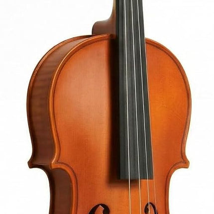 Franz Hoffmann Amadeus Beginner Violin – Full Size Student Violin with Pre-Set Bridge – Professionally set up in the USA– Violin for Kids, Teens & Adults (1/10)