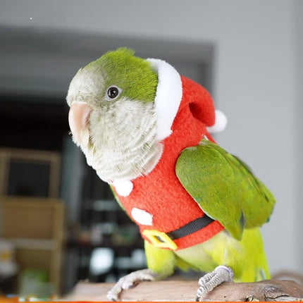 Bird Clothes Birds Flight Suit, Christmas Hoodie for Parrots Cockatiel Sun Conure Christmas Party Cosplay Photo Prop Bird Small Animals Apparel (Without Diaper,Green-cheeked Conure) Red