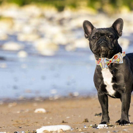 Unique Style Paws Dog Bandanas 1PC Washable Cotton Triangle Dog Scarfs for Small Medium Large Dogs and Cats