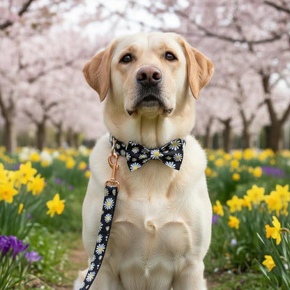 Personalized Dog Collar Daisy Print with Name & Phone Number - photo 4
