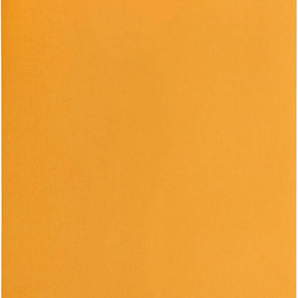 Amazon Basics Clasp Kraft Envelopes for Documents, Gummed Mailing Envelope, 9" x 12", 100-Pack