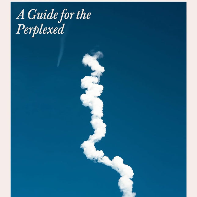 Muskism: A Guide for the Perplexed