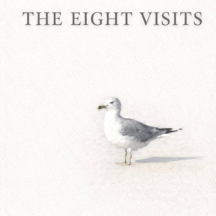 The Eight Visits
