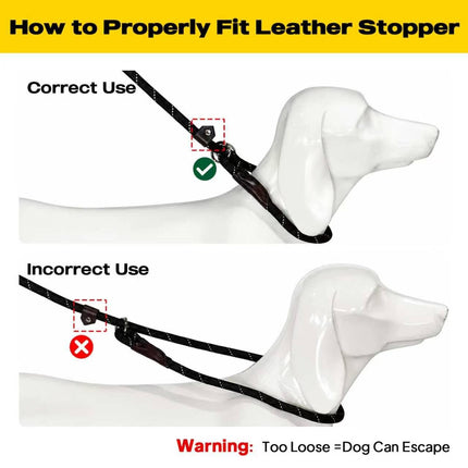 Durable Slip Lead Dog Leash, 6 FT x 1/2" Dog Training Leash, Black