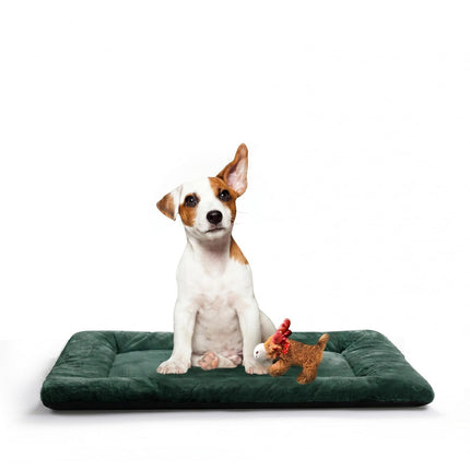 Dog Crate Pad Washable Dog Bed for Crate Medium Mat 36-Inch Gray