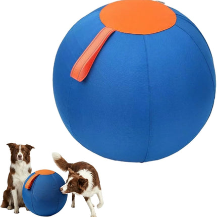 Ruckus Herding Ball, Herding Ball for Dogs, Extra-Large Enrichment Ball — Tear-Resistant, Includes Protective Cover and Air Pump, Available in Three Sizes to Suit All Dogs (color1, Medium)