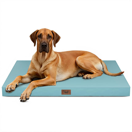 Cama para jaula de perro extragrande para exteriores XXL para perros de razas gigantes