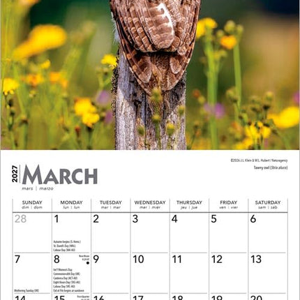 Owls | 2027 7 x 14 Inch (Hanging) Monthly Mini Wall Calendar | BrownTrout | Wildlife Animals Birds