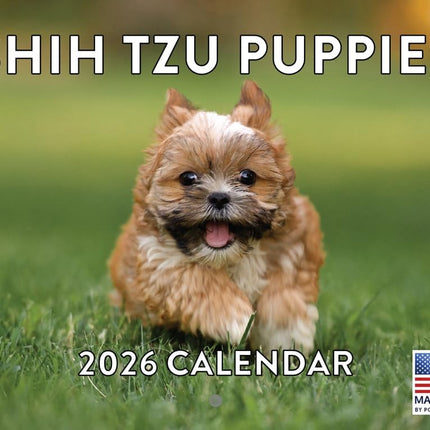 Shih Tzu Puppy Calendar 2026 Shitzu Monthly Wall Calender 12 Month | American Made In The USA