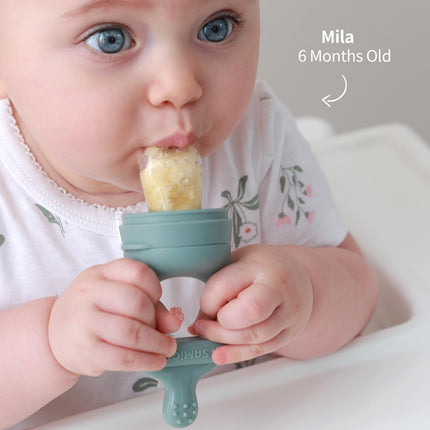 Baby Fruit Feeder Food Pacifier & Freezer Popsicle Mold for Teething - photo 5