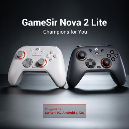 Wireless PC Controller with Hall Effect Joysticks & Triggers, 2.4G & Wired 1000Hz Polling Rate, Remappable Buttons - Compatible with PC/Switch/Steam/Android (Grey)