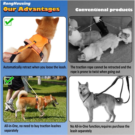 Dog wearing no-pull harness with automatic retractable leash
