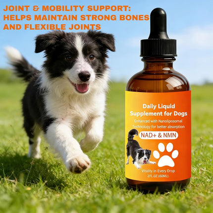 Dog Longevity Supplement with NMN, NAD+, CoQ10 & Resveratrol – Supports Joint Health, Vitality & Healthy Aging – 60-Day Nanoliposomal Drops for Better Absorption