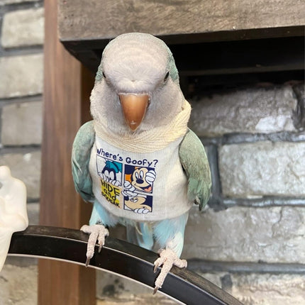 Bird Costume Diaper Flight Suit Frog Shape Hoodie Clothes Cosplay Photo Prop for Parrots Parakeet Cockatiel Sun Conure, Small Animals Apparel (White Without Hat, Medium), Green,White