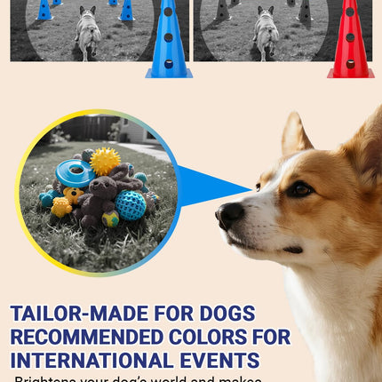 Dog Agility Course Backyard Set, Dog Agility Hurdle Cone Set with Height Adjustable Crossbar for Rehabilitation & Beginners, Dog Agility Equipment for Dog Obstacle Course - 12 Inch