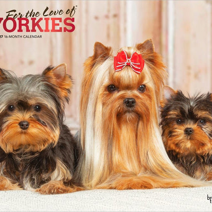 For the Love of Yorkshire Terriers | 2027 14 x 24 Inch (Hanging) Monthly Deluxe Wall Calendar | Foil Stamped Cover | Plastic-Free | BrownTrout | Animal Small Dog Breeds