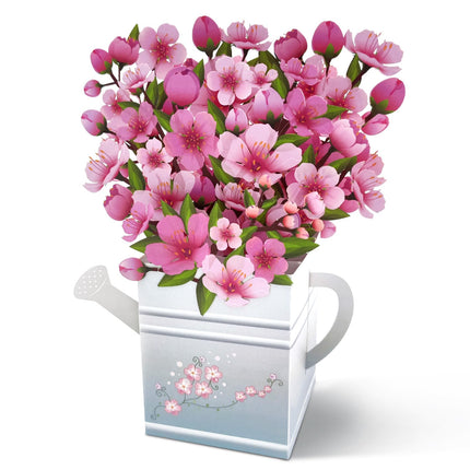 Birthday Cards for Women, Butterfly Pop Up Card Box
