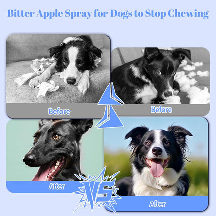 No Chew Spray for Dogs, Bitter Apple Spray for Dogs to Stop Chewing,50ML Natural&Safe Anti Chew Deterrent Spray, Alcohol-Free Effective Indoor/Outdoor Use, Protect Furniture Shoes&Household (Blue)