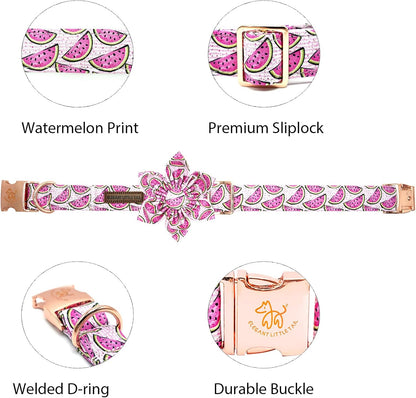 Watermelon Print Adjustable Dog Collar with Flower for X-Small Dogs - photo 2