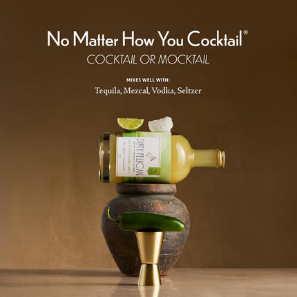 Cocktail Mixers - Spicy Jalapeno Margarita - Skinny & Organic Drink Mixes for Cocktails - Low Calorie Mocktails - Low Sugar - Vegan - Gluten Free - No Preservatives - 750ml (1 Bottle)