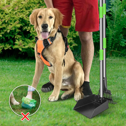 Recogedor para heces de perro con mango largo, bandeja de metal inoxidable y rastrillo para perros medianos y pequeños, suministros resistentes para usar en césped, tierra o grava