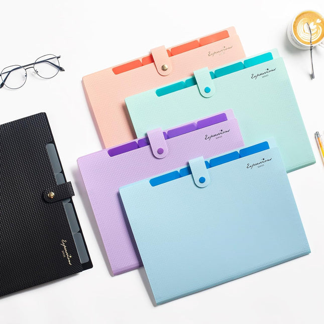 Letter Size Expanding Accordion File Folder with Labels