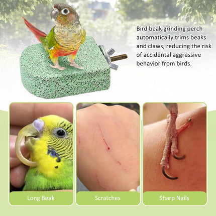 BNOSDM 4 Pcs Bird Beak Grinding Stone Chew Toy Parrot Calcium Perch Bird Stand Platform Parakeet Cage Accessories for Budgies, Cockatiels, Conures, Lovebirds, Finch (Green)