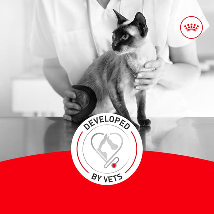 Royal Canin Feline Health Nutrition Aging 11+ Wet Cat Food for Seniors, Thin Slices in Gravy for Cats Over 11 Years, Supports Optimal Health & Vitality, 3 oz can, case of 12