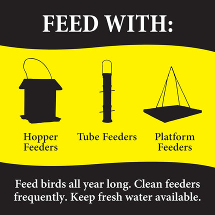 Wild Delight Advanced Formula Bugs N Berries Wild Bird Food 4.5 lbs
