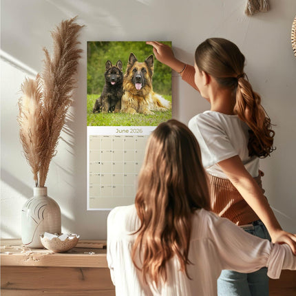 German Shepherd Calendar 2026 – 16-Month Dog Breed Wall Calendar by MegaCalendars – Large Daily Blocks, Thick No-Bleed Paper, Made in USA