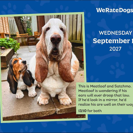 WeRateDogs 2027 Day-to-Day Calendar