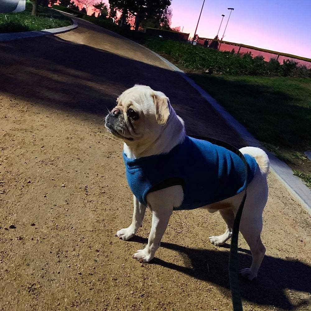 Stretch Fleece Pullover Vest for Dogs, Steel Blue, Medium - photo 5