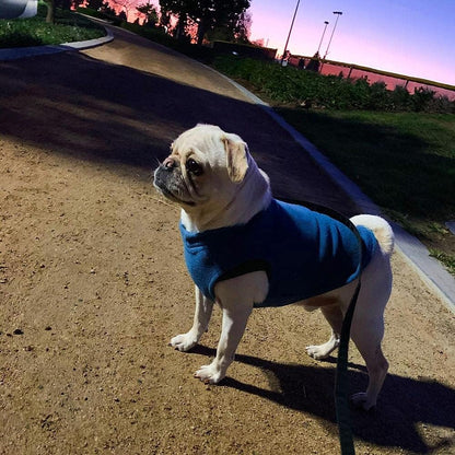 Stretch Fleece Pullover Vest for Dogs, Steel Blue, Medium - photo 5
