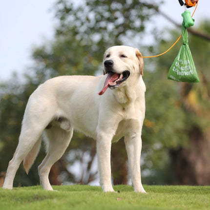 Dog Poop Bags with Handles, Large Size, 240 Bags, Unscented