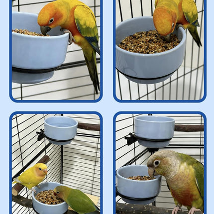 2 Pcs Bird Food Bowl Ceramic Bowls for Birds Small Parakeet Food Bowl Parrot Feeding Cups, Bird Cage Feeder for Parakeets Conure Cockatiels Lovebird Budgie (Blue)