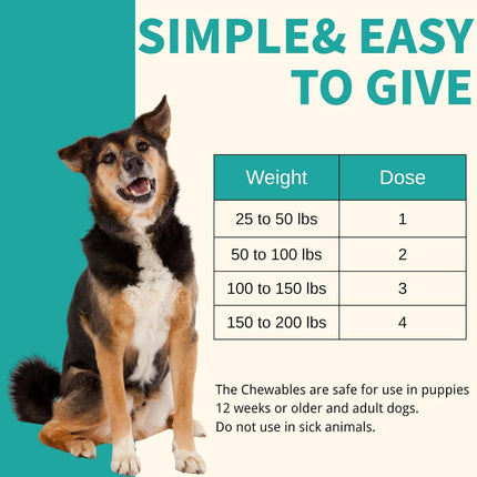 Pyrantel Pamoate and Praziquantel De-wormer Tablet for Medium and Large Dogs, Chewable Formula