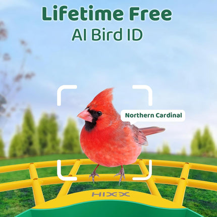 HIXX Smart Bird Feeder with Camera, AI Identify Birds & Auto Capture, 2K HD Live Camera Birdwatching with Color Night Vision for Bird Lovers Gifts (Green)