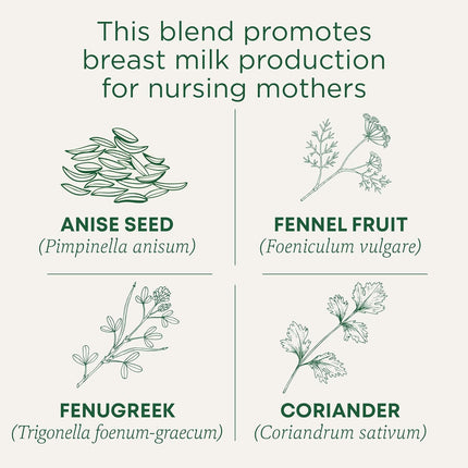 Traditional Medicinals Organic, Mother's Milk Tea - Supports Breastfeeding & Lactation with Fennel and Fenugreek - Kosher, Non-GMO, Caffeine-Free, Compostable - 16 Tea Bags
