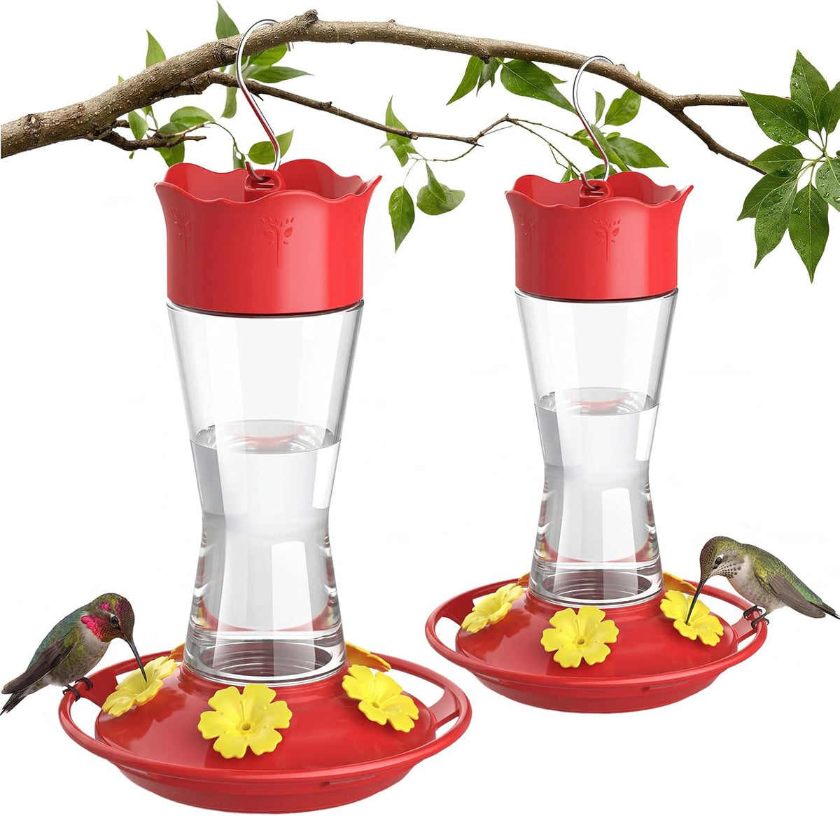 2-Pack Clear Glass Hanging Hummingbird Feeders, 10 oz