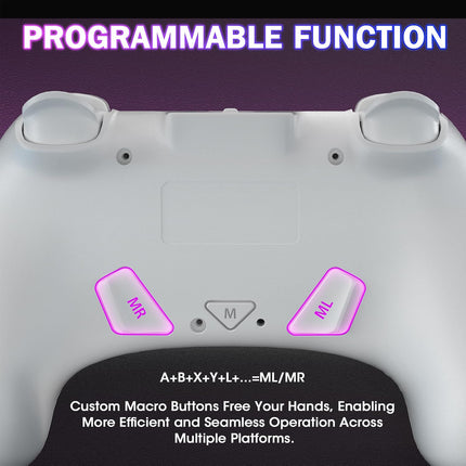 Wireless Switch Controller for Nintendo Switch/Switch 2/Lite/OLED/PC,Gamepad Supports Dual Vibration/6-Axis Gyroscope/Programmable/Turbo,Ergonomically Designed Precise Joystick (White)