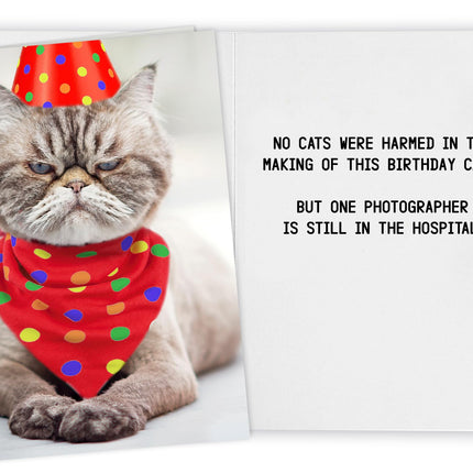 Funny Birthday Card for Women, Men & Friends! Grumpy Cat Photo Joke