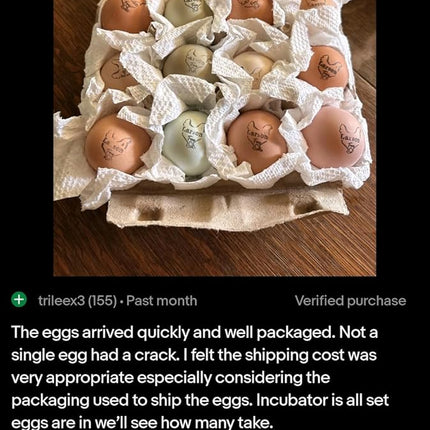 12ct Multiple Breed Chicken Hatching Eggs-NPIP Certified/AI Clean-BYM Read Full Description