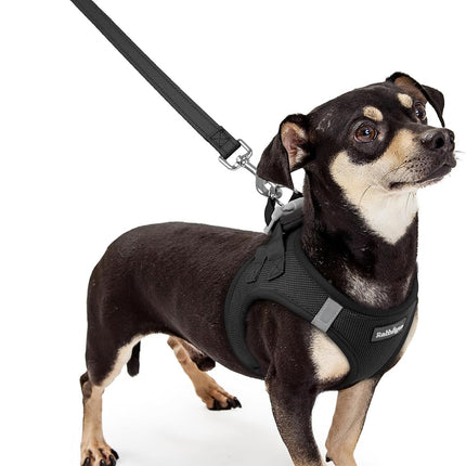 rabbitgoo Dog Harness Small Sized and Leash Set, Step in Soft Light Puppy Vest, Breathable Mesh Pet Harness, Reflective for Outdoor Safe Walking, Black XXXS